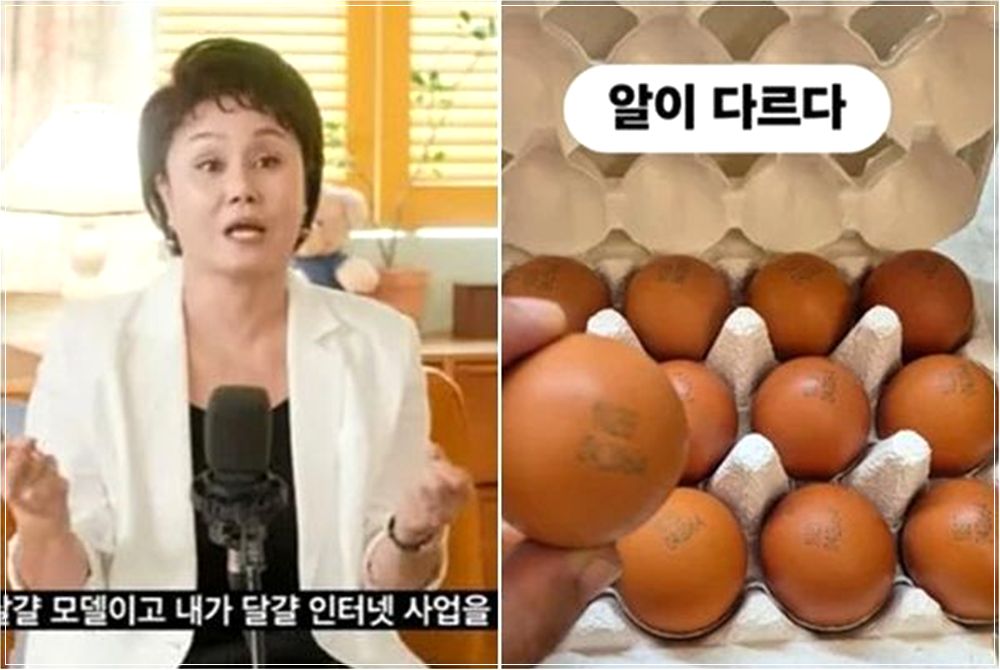 [공식입] 이경실 달걀 난각번호 4번 논란에 1번보다 "품질 더 좋아"